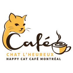 Café Chat l’heureux – cat café Montréal